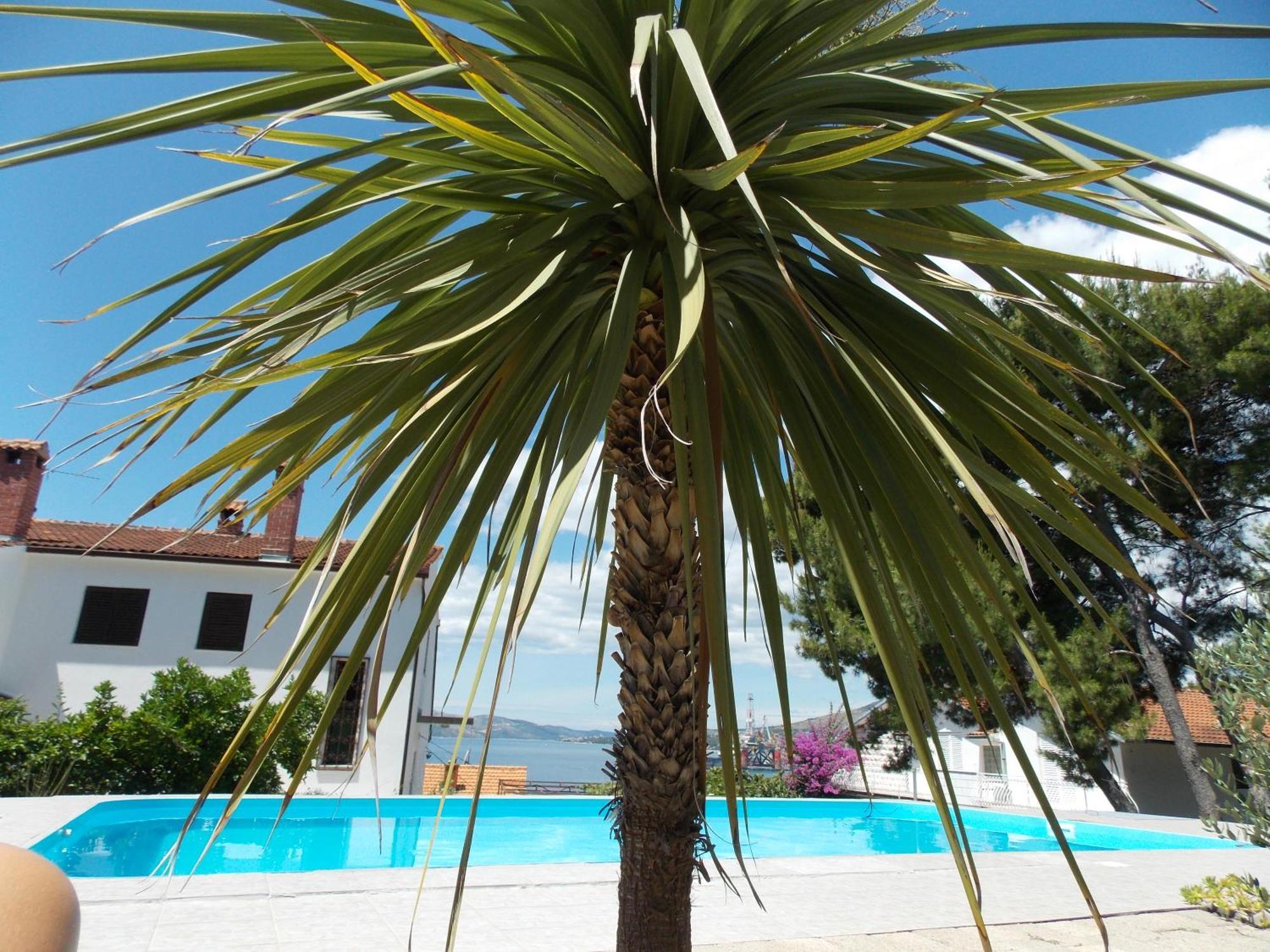 Apartments Villa Goja Τρογκίρ Δωμάτιο φωτογραφία